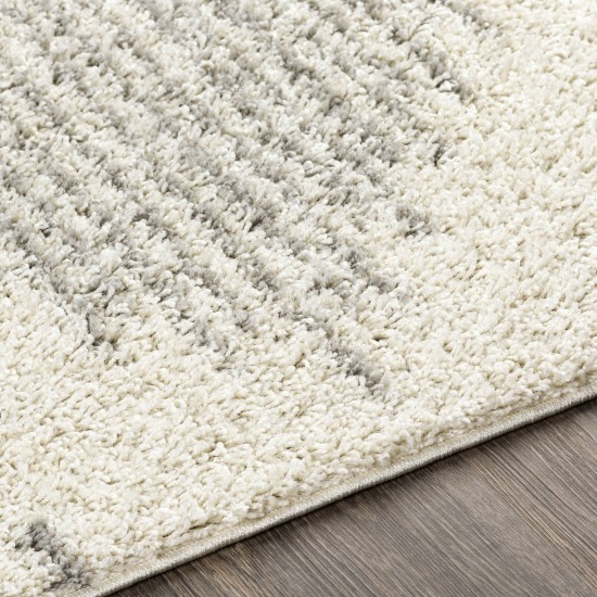 Surya Taza Shag Tzs-2331 Cream Rug 6'7" X 9'