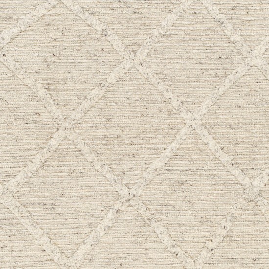 Surya Tenerife Light Beige Rug 2' X 3'