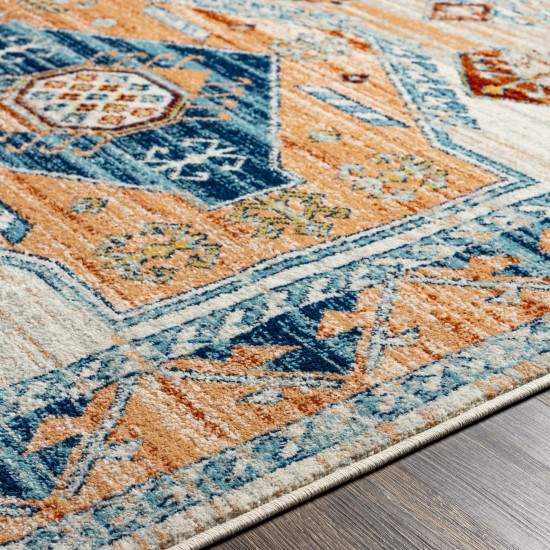 Surya Tevazu Tvz-2308 Rug 6'7" X 9'