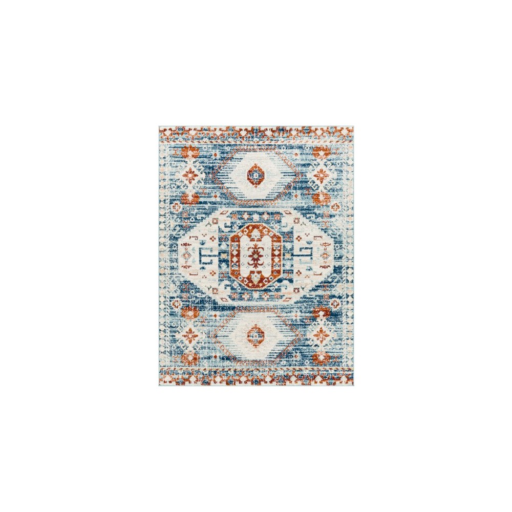 Surya Tevazu Tvz-2317 Rug 6'7" X 9'