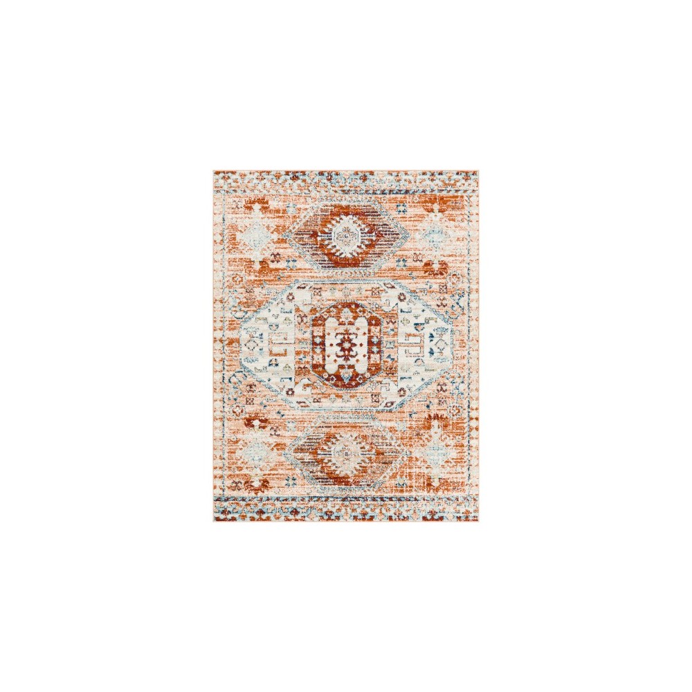 Surya Tevazu Tvz-2318 Rug 6'7" X 9'