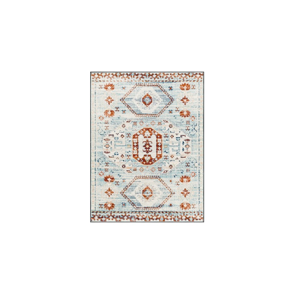 Surya Tevazu Tvz-2319 Rug 6'7" X 9'