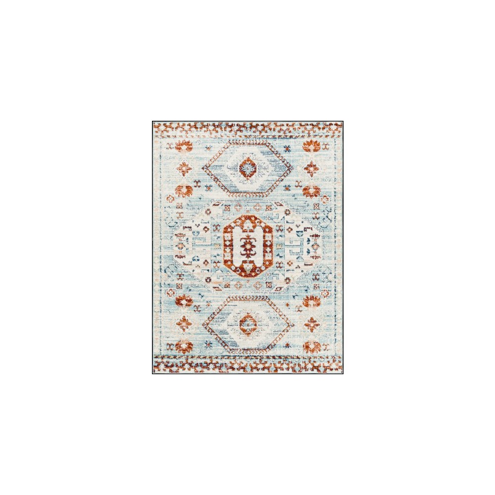 Surya Tevazu Tvz-2319 Rug 7'10" X 10' Surya Tevazu Tvz-2319 Rug 7'10" X 10'