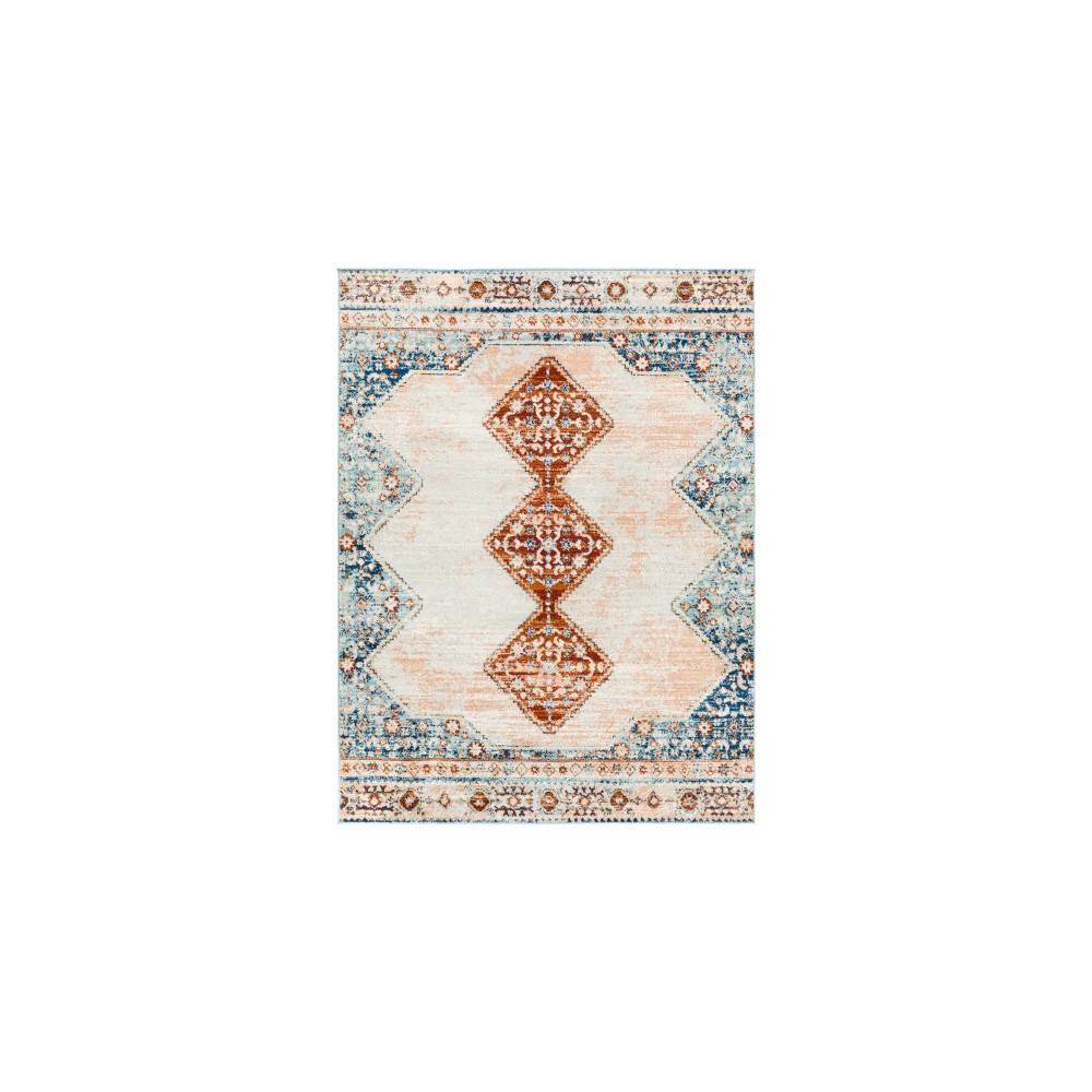 Surya Tevazu Tvz-2320 Rug 7'10" X 10' Surya Tevazu Tvz-2320 Rug 7'10" X 10'