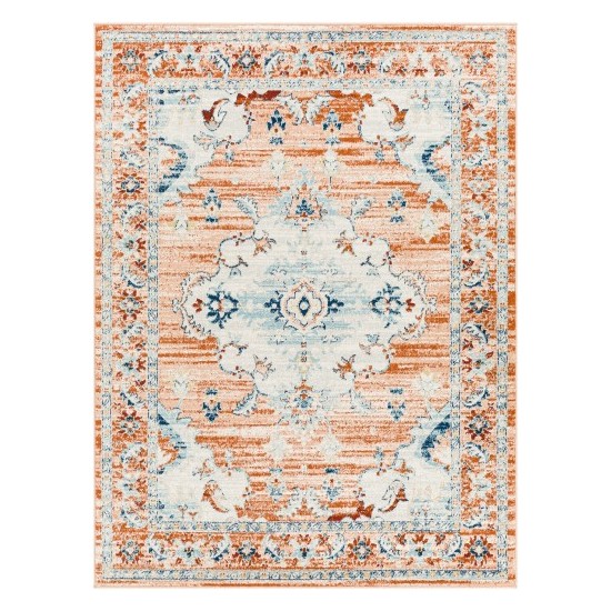 Surya Tevazu Tvz-2324 Rug 6'7" X 9'