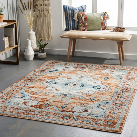 Surya Tevazu Tvz-2324 Rug 6'7" X 9'