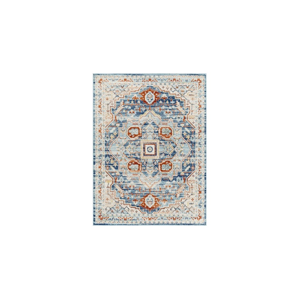 Surya Tevazu Tvz-2328 Rug 6'7" X 9'