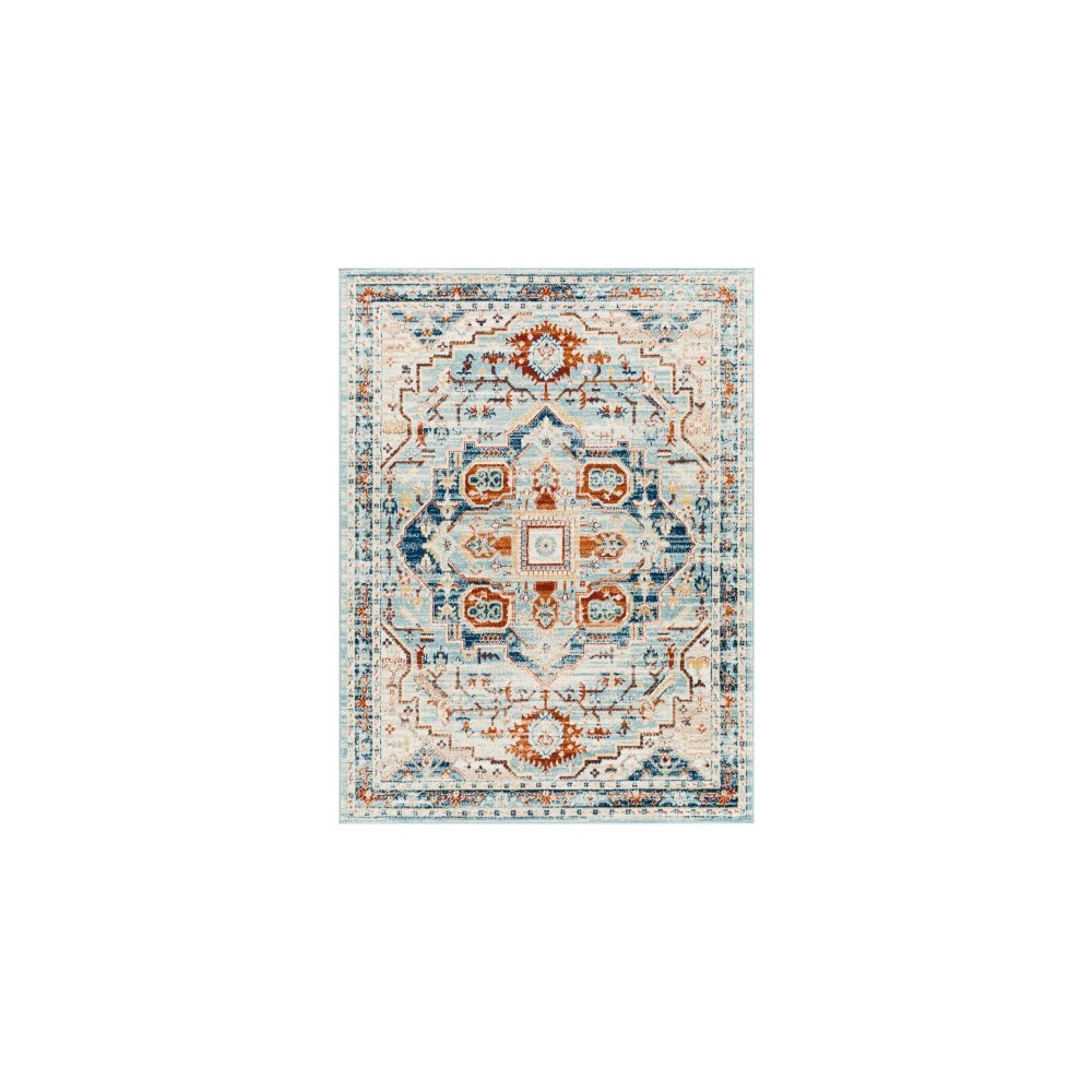 Surya Tevazu Tvz-2329 Rug 6'7" X 9' Surya Tevazu Tvz-2329 Rug 6'7" X 9'