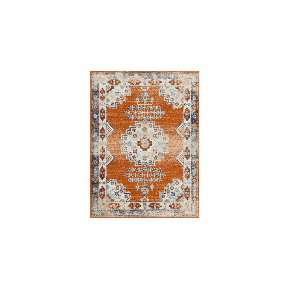 Surya Tevazu Tvz-2332 Rug 6'7" X 9'