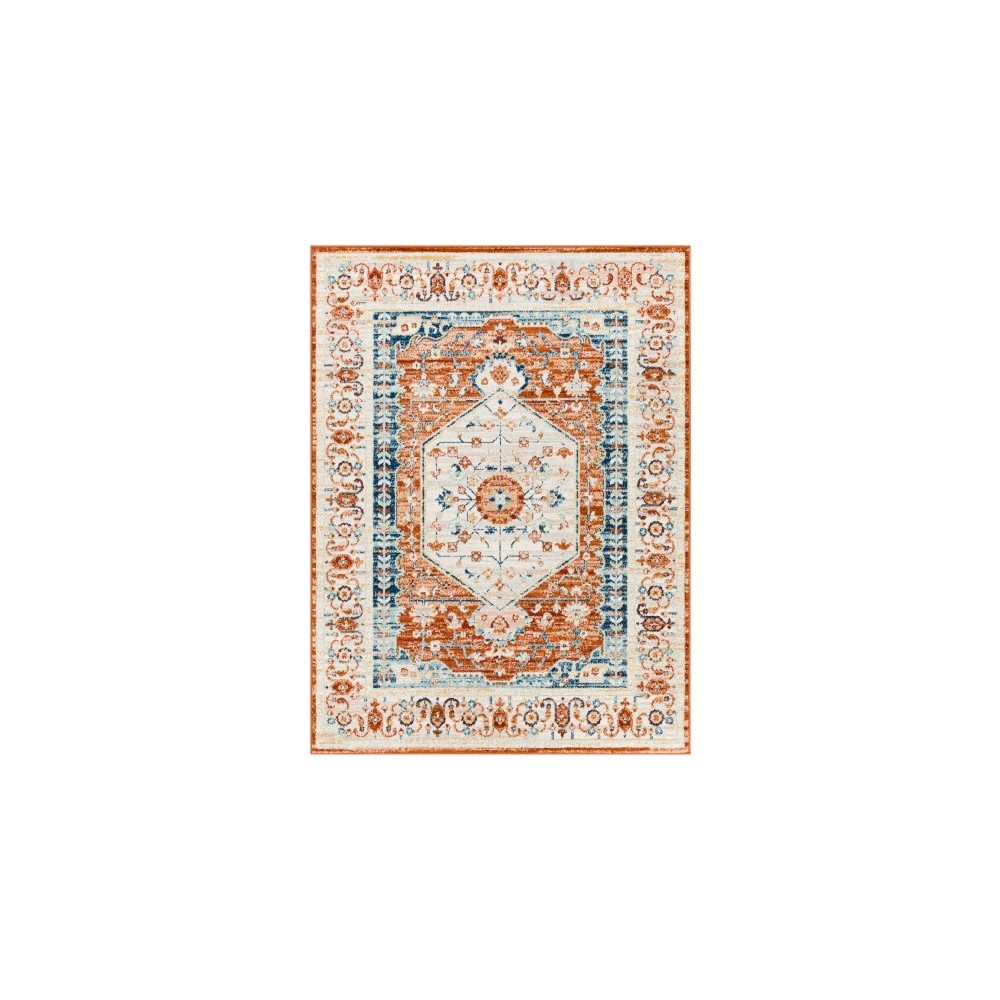 Surya Tevazu Tvz-2334 Rug 6'7" X 9'