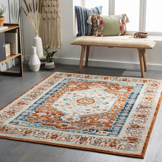 Surya Tevazu Tvz-2334 Rug 6'7" X 9'