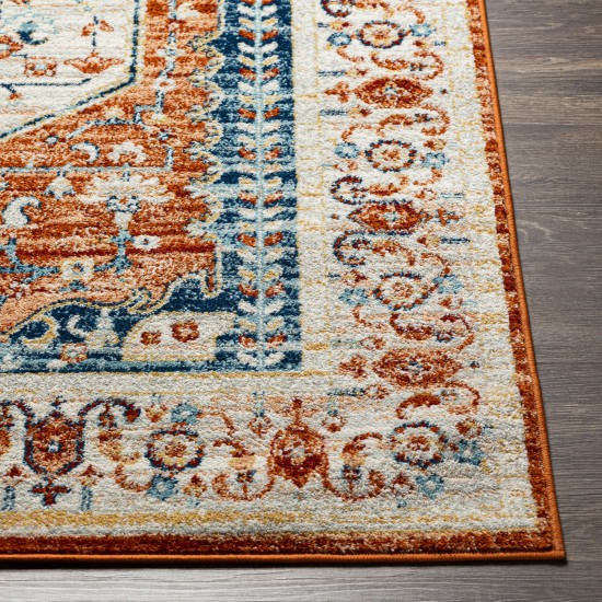 Surya Tevazu Tvz-2334 Rug 6'7" X 9'