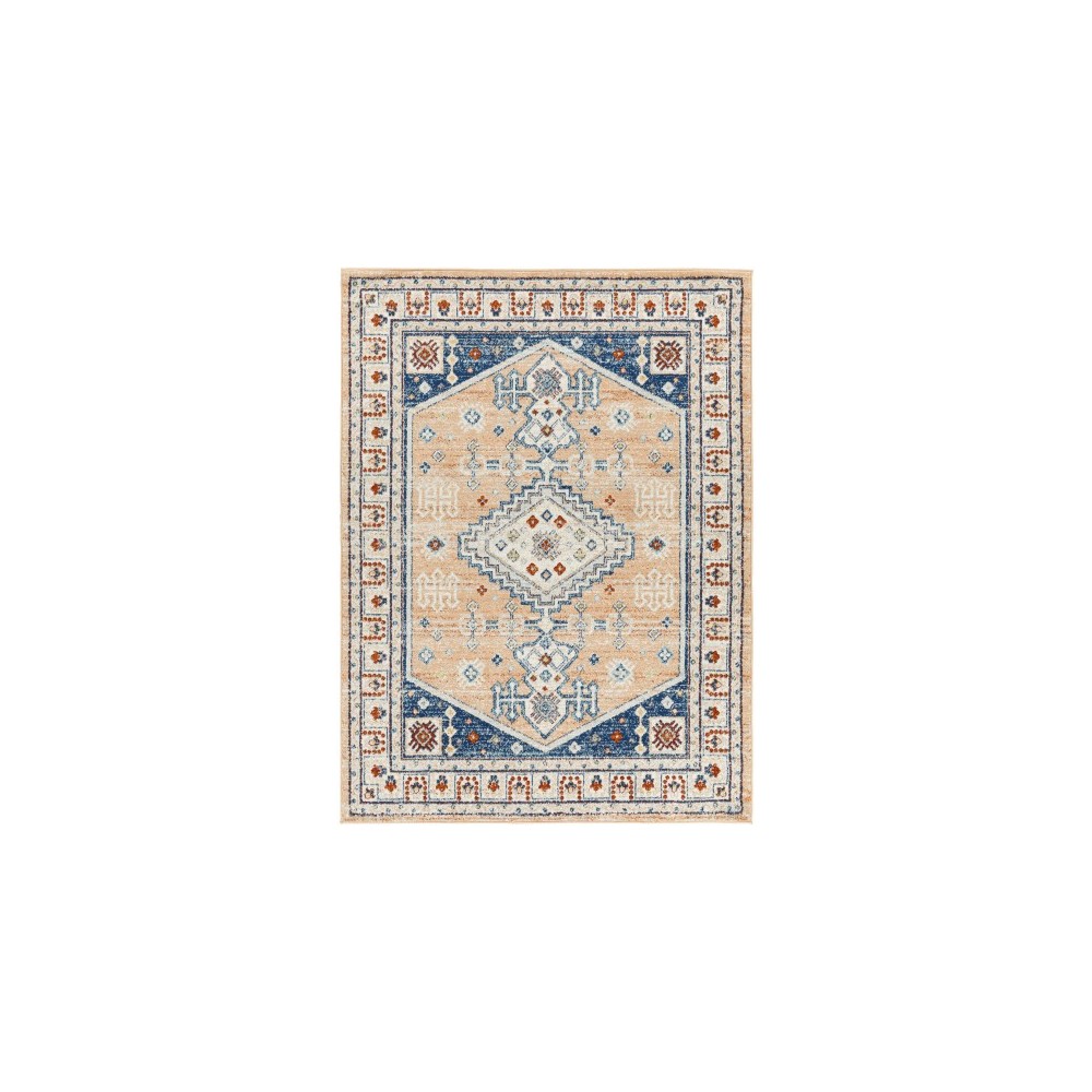 Surya Tevazu Tvz-2337 Rug 5'3" X 7'