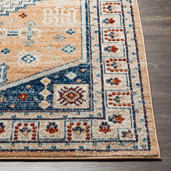 Surya Tevazu Tvz-2337 Rug 6'7" X 9'