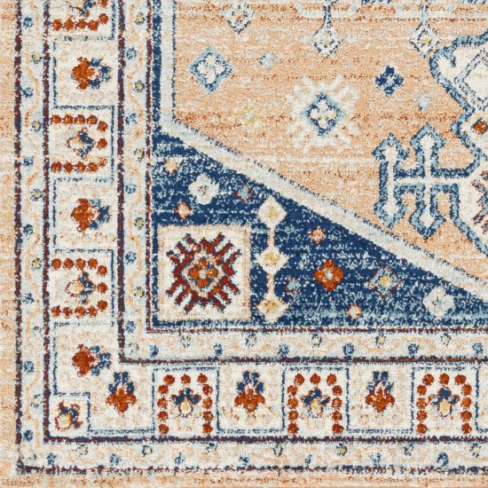 Surya Tevazu Tvz-2337 Rug 6'7" X 9'