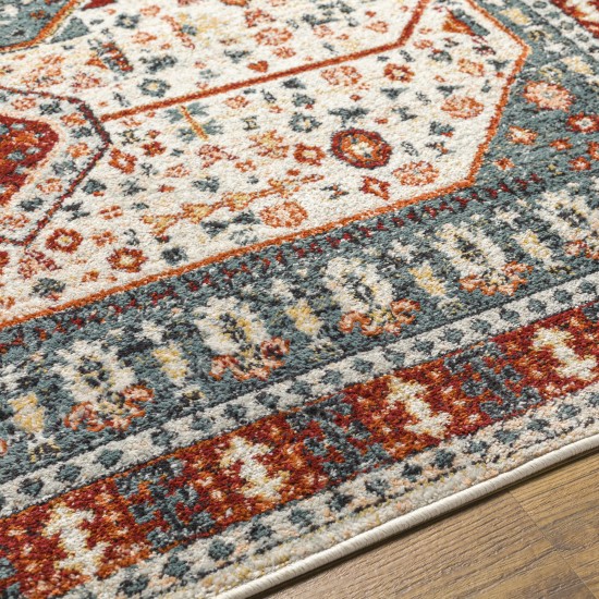 Surya Tevazu Tvz-2338 Rug 7'10" X 10'