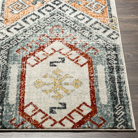 Surya Tevazu Tvz-2340 Rug 6'7" X 9'