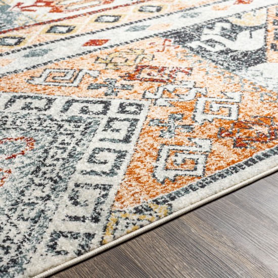 Surya Tevazu Tvz-2340 Rug 6'7" X 9'