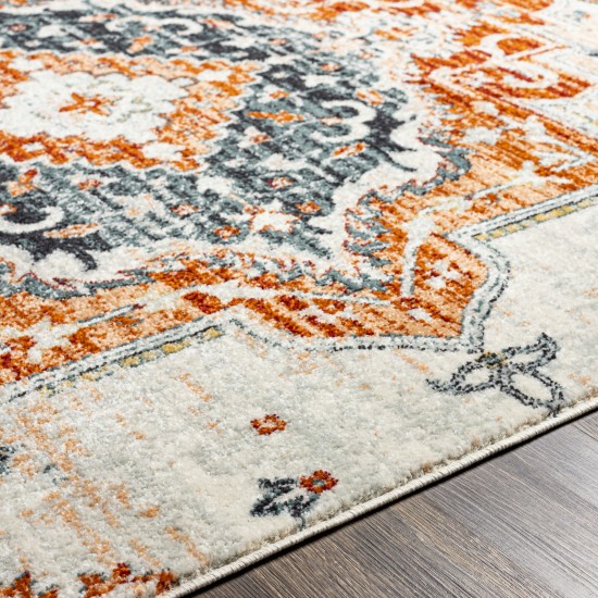 Surya Tevazu Tvz-2343 Rug 6'7" X 9'