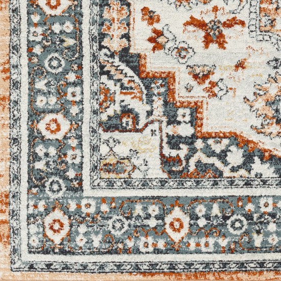 Surya Tevazu Tvz-2346 Rug 5'3" X 7'