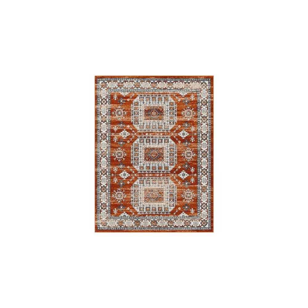 Surya Tevazu Tvz-2350 Rug 5'3" X 7'