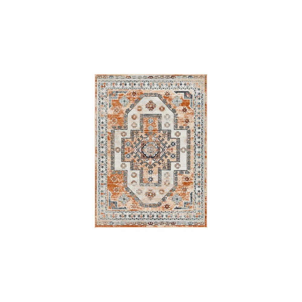 Surya Tevazu Tvz-2358 Rug 5'3" X 7' Surya Tevazu Tvz-2358 Rug 5'3" X 7'