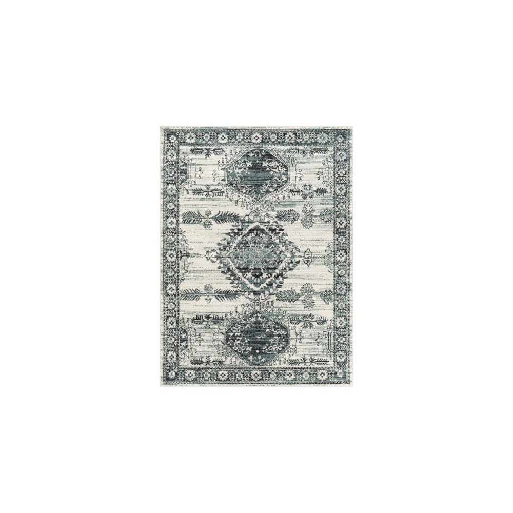Surya Tevazu Tvz-2364 Rug 7'10" X 10' Surya Tevazu Tvz-2364 Rug 7'10" X 10'
