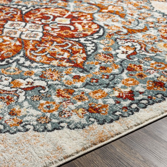 Surya Tevazu Tvz-2367 Rug 6'7" X 9'