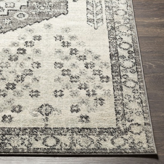 Surya Tevazu Tvz-2377 Rug 6'7" X 9'