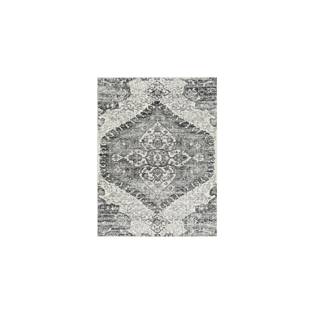 Surya Tevazu Tvz-2378 Rug 6'7" X 9' Surya Tevazu Tvz-2378 Rug 6'7" X 9'