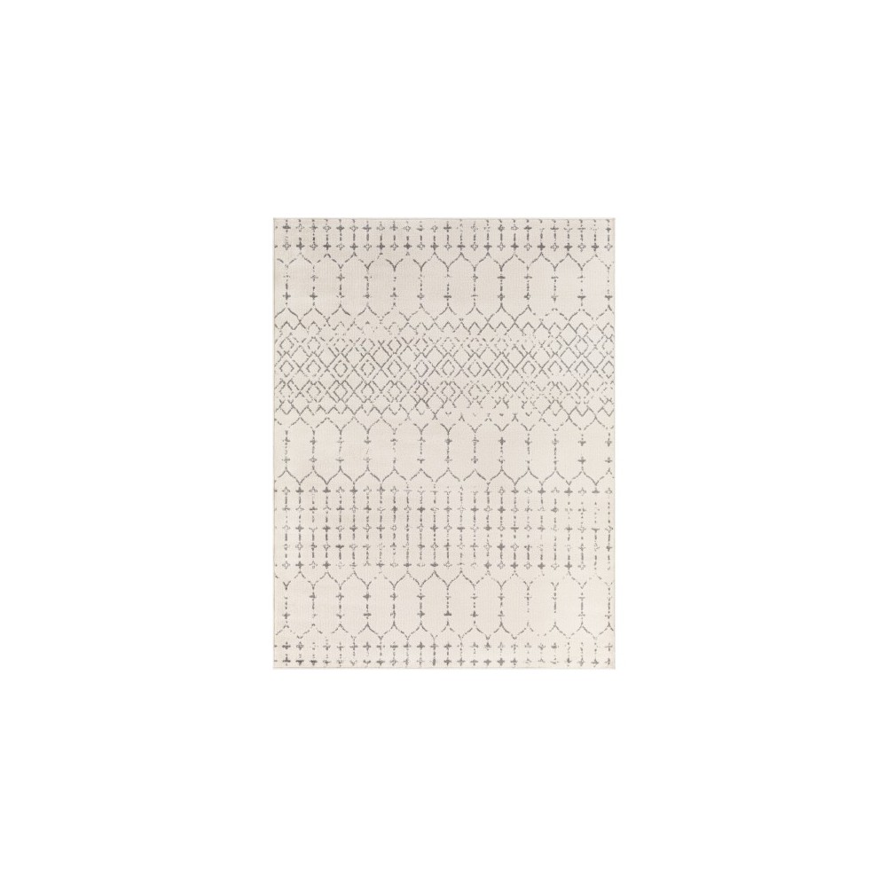 Surya Tevazu Tvz-2382 Rug 6'7" X 9'