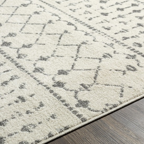 Surya Tevazu Tvz-2383 Rug 6'7" X 9'