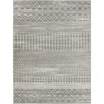 Surya Tevazu Tvz-2387 Rug 7\'10" X 10\'