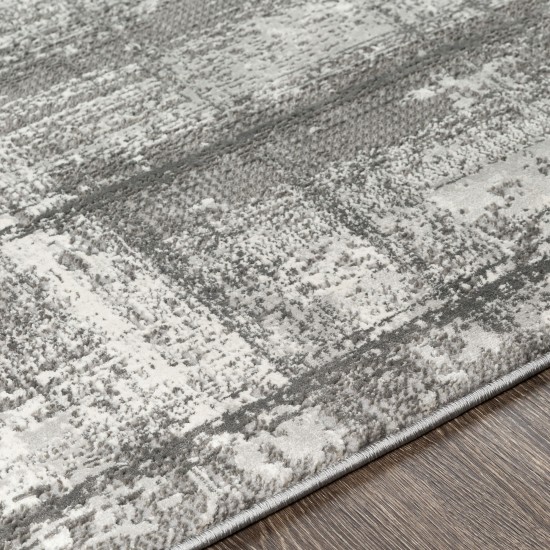 Surya Tibetan Light Gray Rug 2'7" X 7'7"