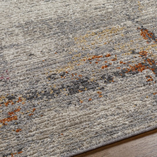 Surya Toronto Trt-2304 Rug 2' X 3'
