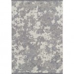 Surya Toscana Tcn-2307 Slate Rug 3'9" X 5'11"