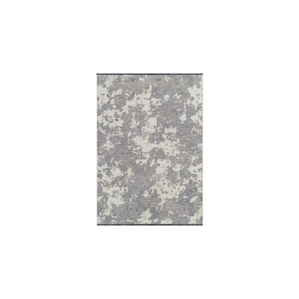 Surya Toscana Tcn-2307 Slate Rug 3'9" X 5'11"