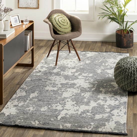 Surya Toscana Tcn-2307 Slate Rug 3'9" X 5'11"