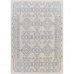 Surya Tuareg Trg-2316 Tan Rug 5'3" X 7'