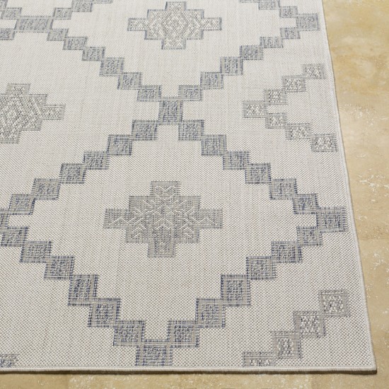 Surya Tuareg Trg-2324 Off-White Rug 6'7" X 9'