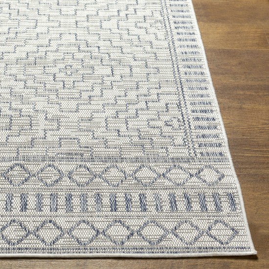 Surya Tuareg Trg-2353 Rug 6'7" X 9'