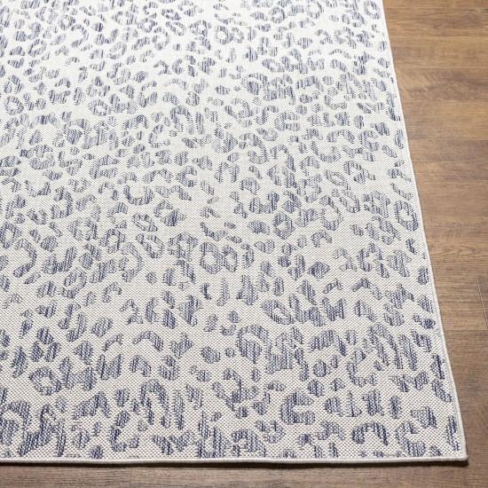 Surya Tuareg Trg-2363 Rug 6'7" X 9'