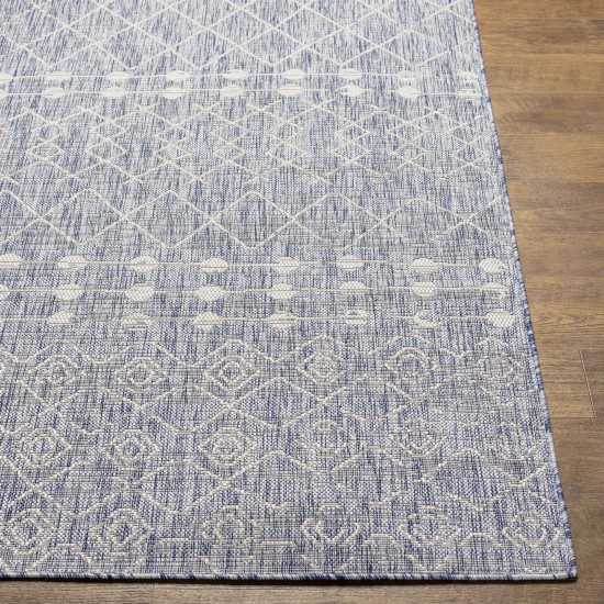 Surya Tuareg Trg-2386 Rug 9'2" X 12'