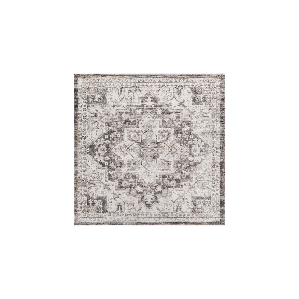 Surya Tuscany Tus-2318 Brown Rug 7'10" Square