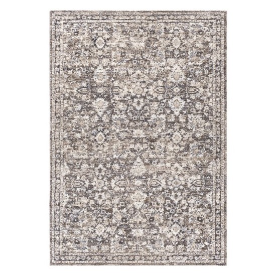 Surya Tuscany Tus-2319 Brown Rug 2' X 3'