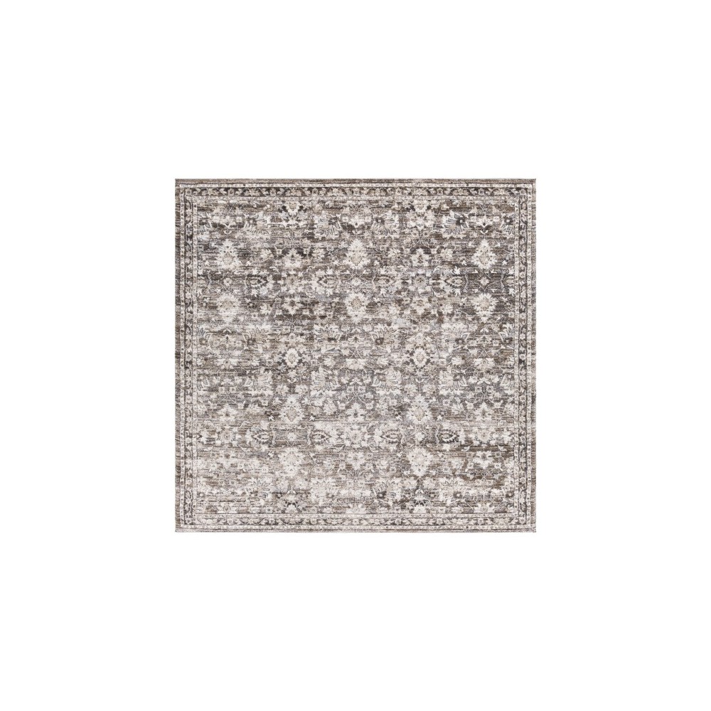 Surya Tuscany Tus-2319 Brown Rug 7'10" Square