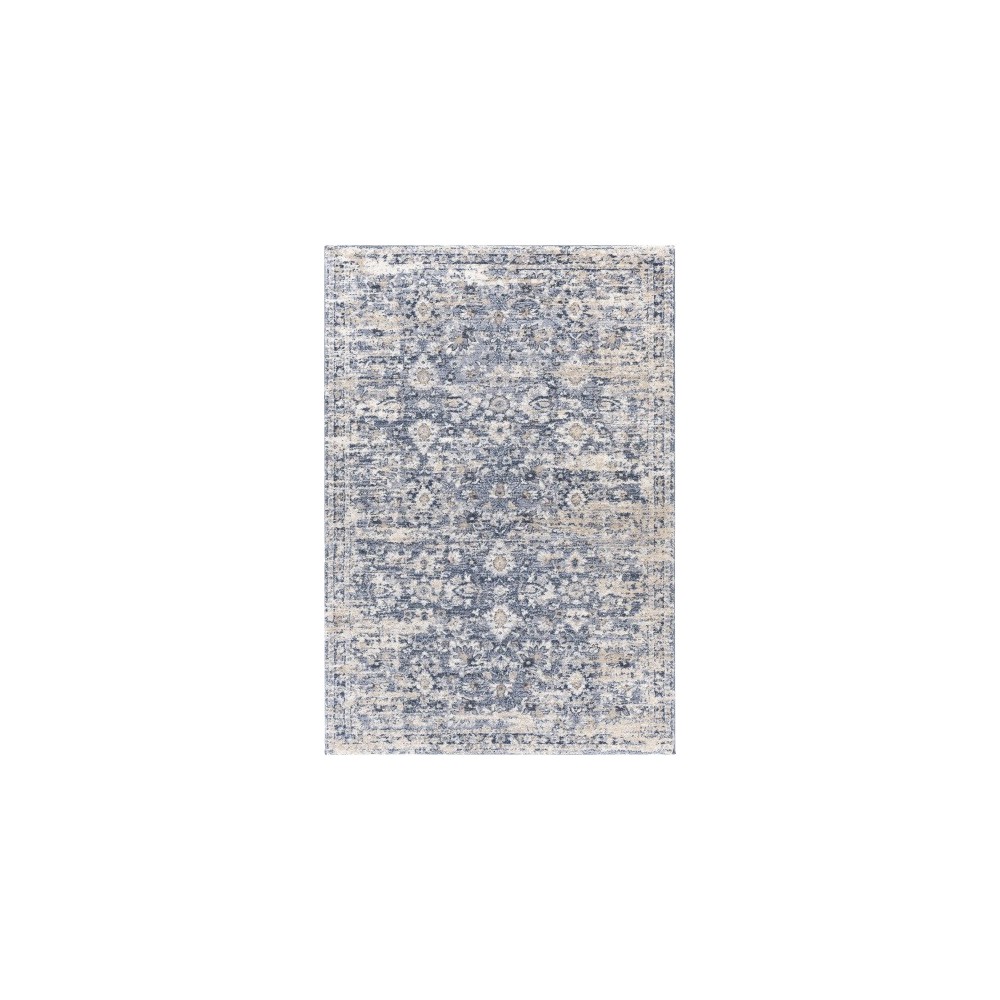 Surya Tuscany Tus-2320 Dark Blue Rug 2' X 3'