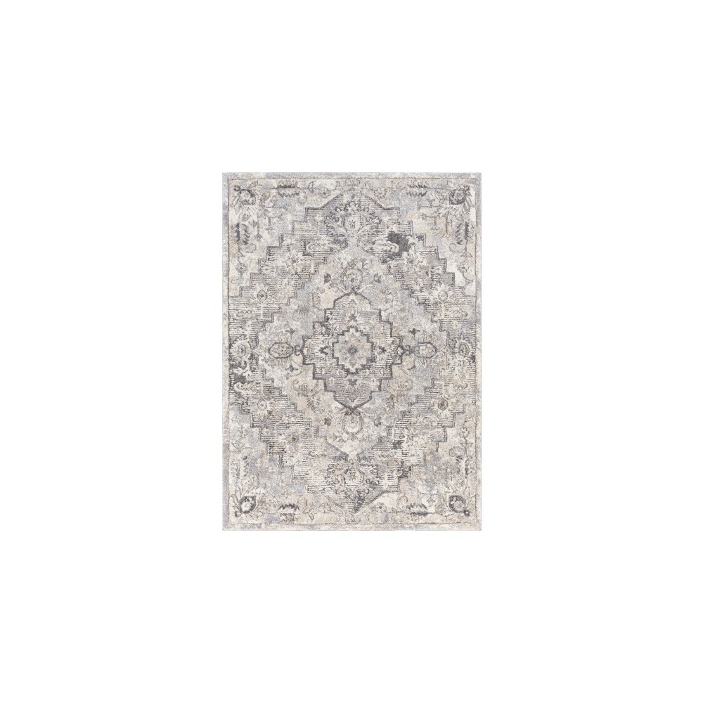 Surya Tuscany Tus-2321 Gray Rug 4'3" X 5'7"