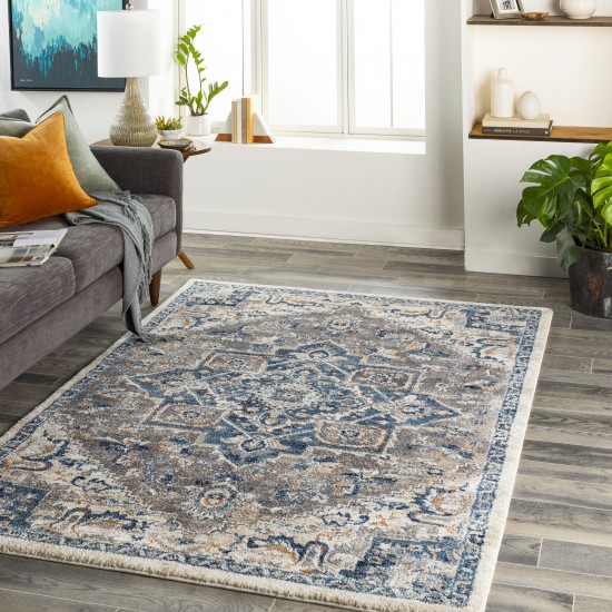 Surya Tuscany Tus-2335 Blue Rug 2' X 3'