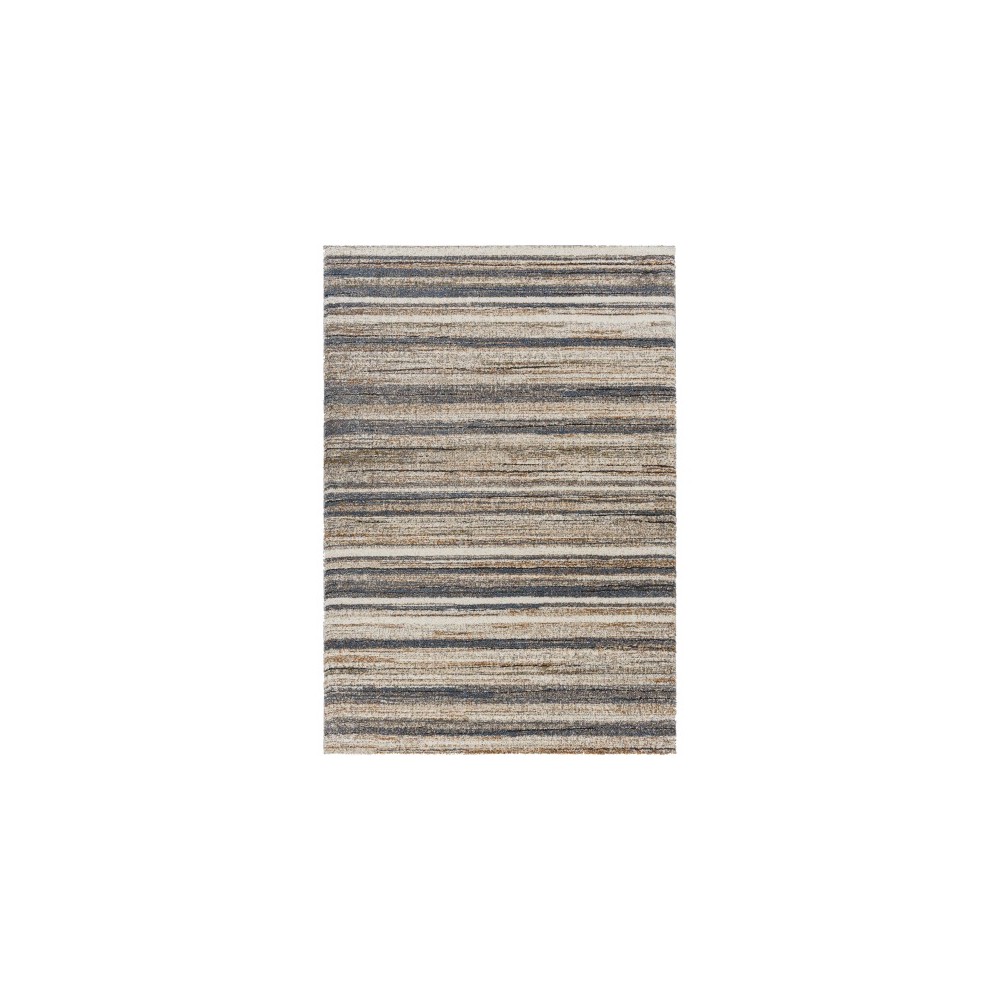 Surya Tuscany Tus-2340 Rug 2' X 3'